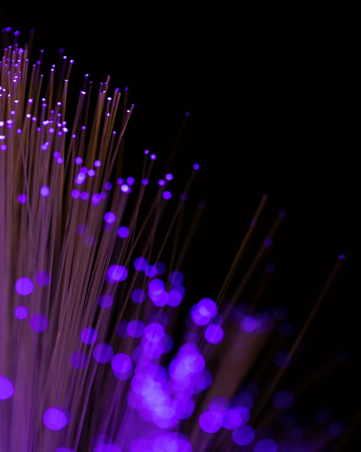 Faisceau de fibres optiques violettes, points lumineux en arriere plan